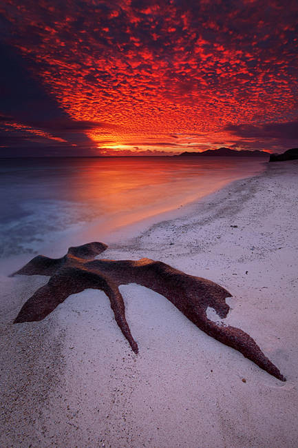 Seychelles beach with sea